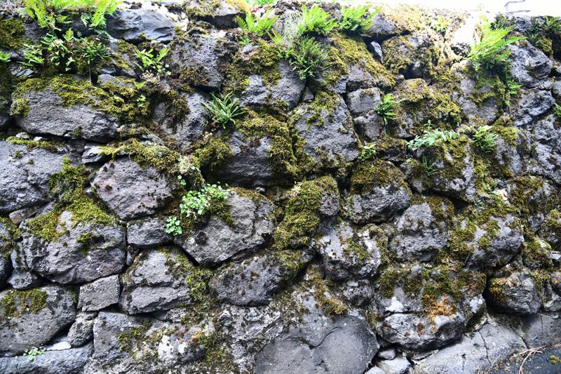 min 2023 08 13 Salers 141